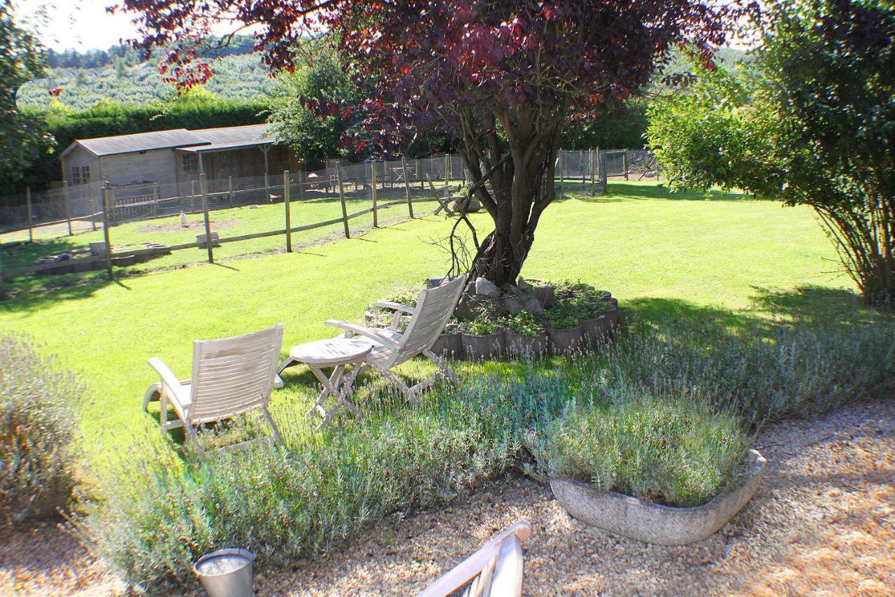 Comme A La Ferme Bed and Breakfast Durbuy Eksteriør billede